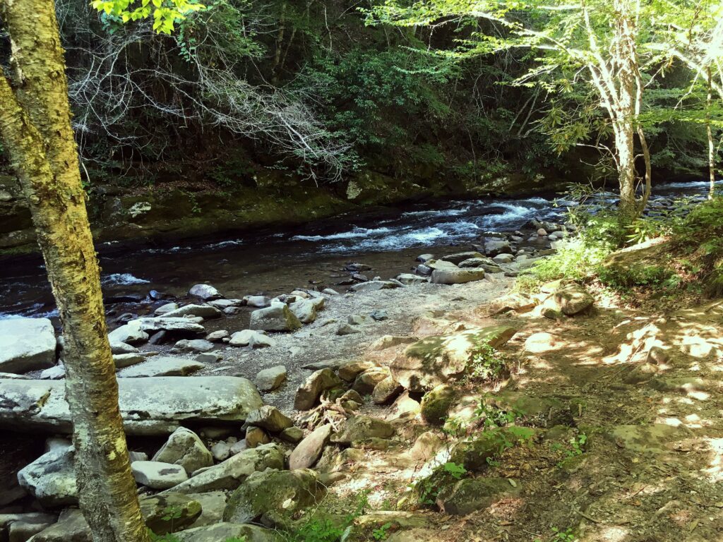 Bükkös-patak Szentendrén